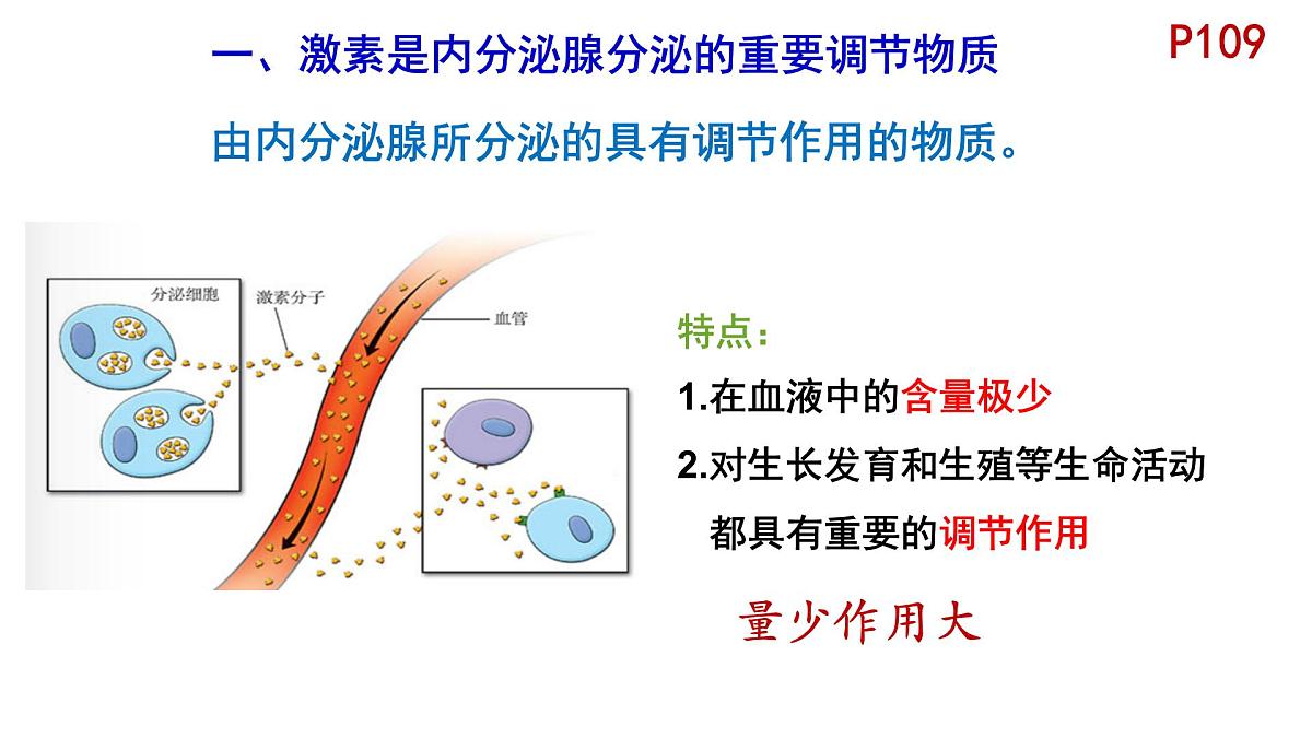 初中 生物 北师大版（2024）七年级下册4.10.3 激素调节 课件第4页