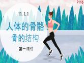 初中 生物 北師大版（2024）七年級下冊4.11.1 人體的骨骼第一課時 課件
