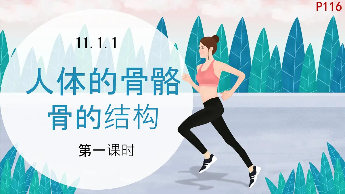 初中 生物 北师大版（2024）七年级下册4.11.1 人体的骨骼第一课时 课件第1页