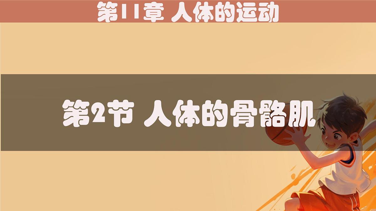 初中 生物 北师大版（2024）七年级下册4.11.2 人体的骨骼肌 课件第1页