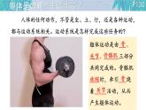 初中 生物 北師大版（2024）七年級下冊4.11.3 運動的形成 課件