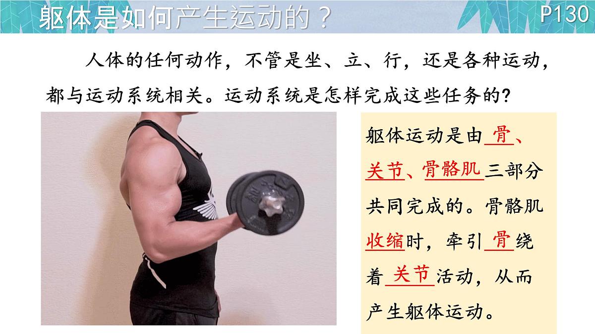 初中 生物 北师大版（2024）七年级下册4.11.3 运动的形成 课件第2页