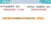 初中 生物 北師大版（2024）七年級下冊4.11.3 運動的形成 課件