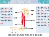 初中 生物 北師大版（2024）七年級下冊4.11.3 運動的形成 課件