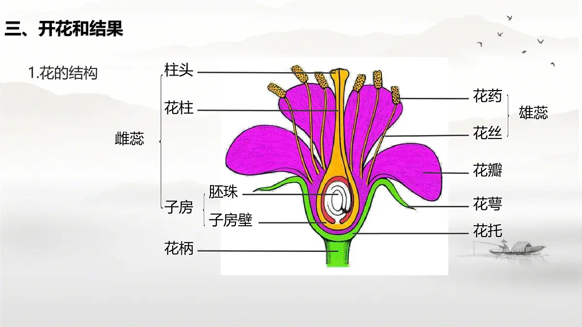 新人教版七年级生物下册期末总复习课件第8页