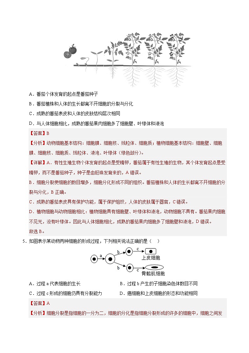 2025年中考临考押题卷（连云港卷）（解析版）第3页