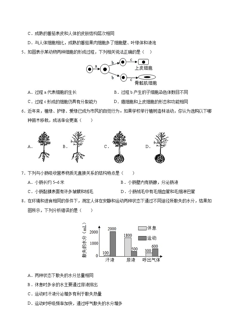 2025年中考临考押题卷（连云港卷）（原卷版）第2页