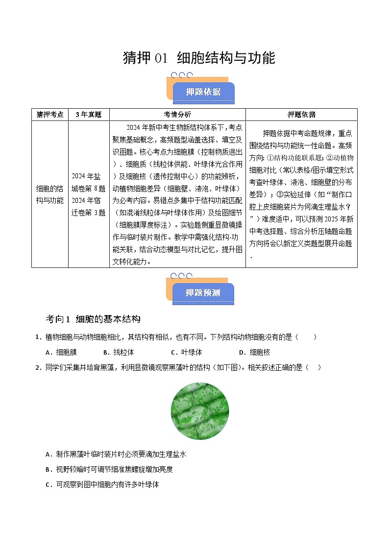 猜押01 细胞的结构与功能（原卷版）第1页