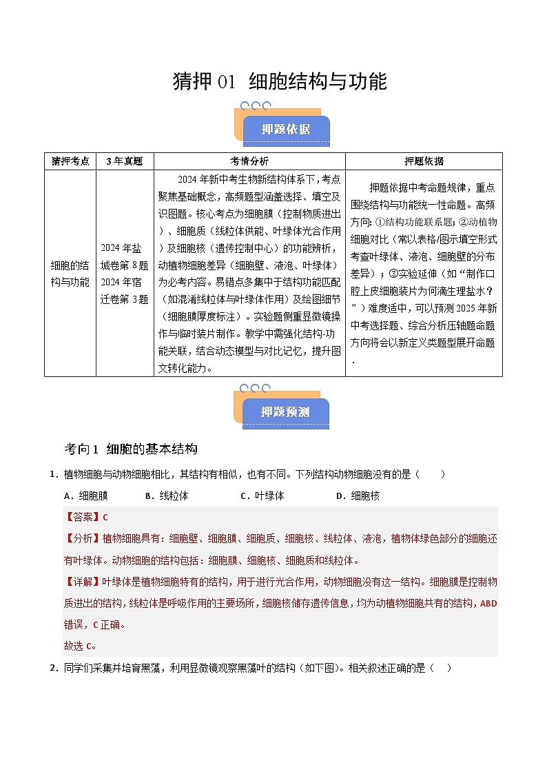 猜押01 细胞的结构与功能（解析版）第1页