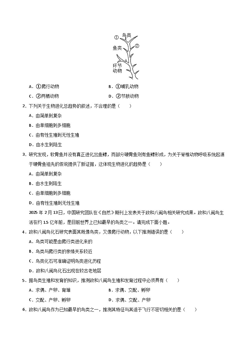 猜押06 生物的进化与适应（原卷版）第2页
