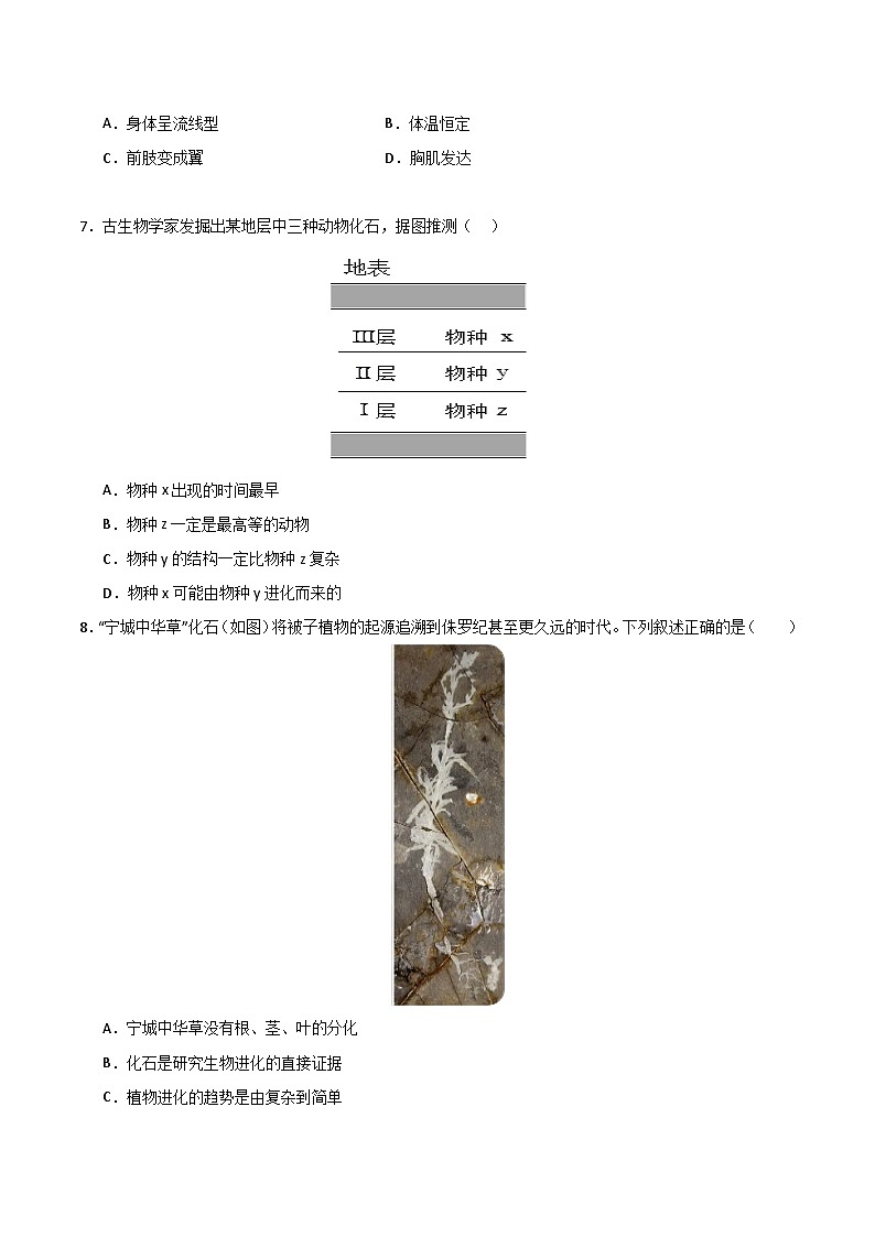 猜押06 生物的进化与适应（原卷版）第3页