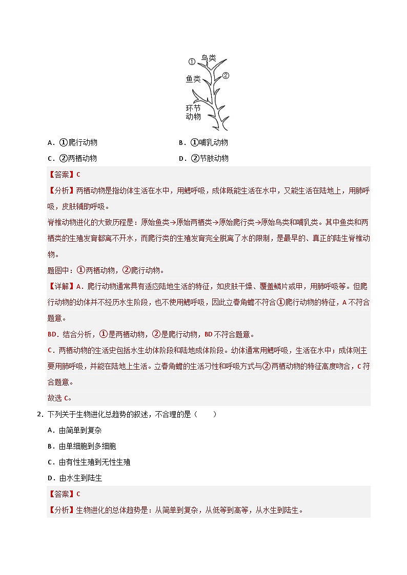 猜押06 生物的进化与适应（解析版）第2页