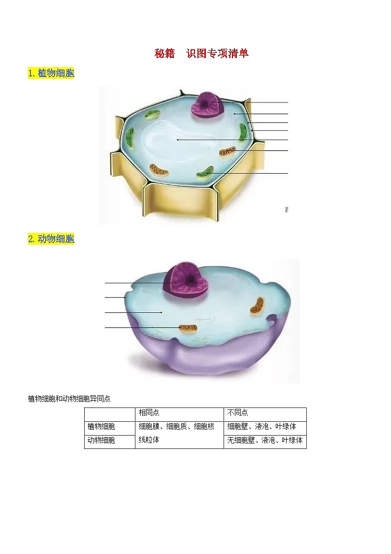 秘籍 识图专项清单(原卷版） 第1页