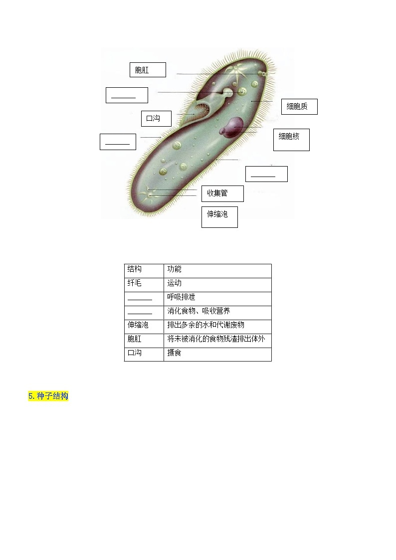 秘籍 识图专项清单(原卷版） 第3页