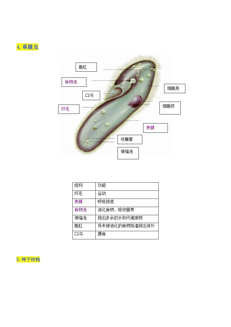 秘籍 识图专项清单(解析版）第3页