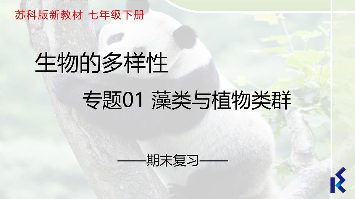 藻类与植物类群（5大考点）2025学年七年级生物下学期期末考点大串讲苏科版课件第1页
