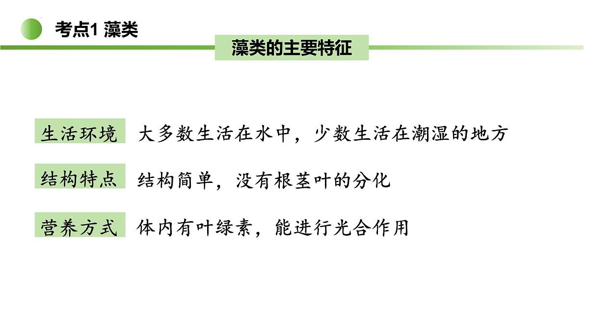 藻类与植物类群（5大考点）2025学年七年级生物下学期期末考点大串讲苏科版课件第6页