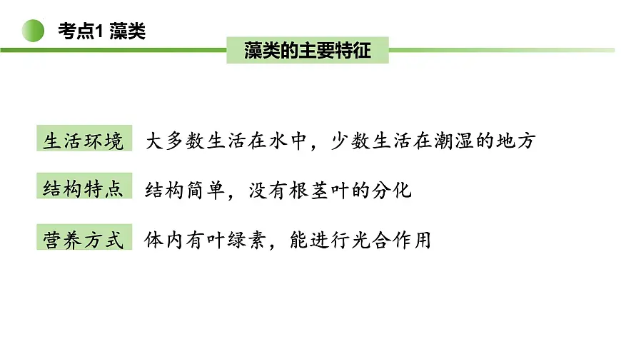藻类与植物类群（5大考点）2025学年七年级生物下学期期末考点大串讲苏科版课件第6页