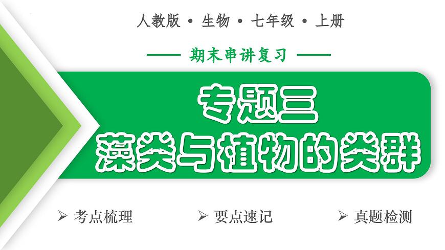 藻类与植物的类群（4大考点+要点速记+真题检测）2025学年七年级生物上学期期末考点大串讲人教版课件第1页