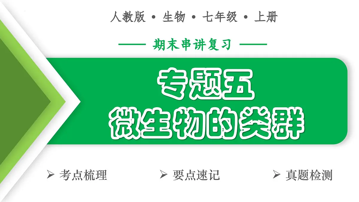 微生物的类群（5大考点+要点速记+真题检测）2025学年七年级生物上学期期末考点大串讲人教版课件第1页