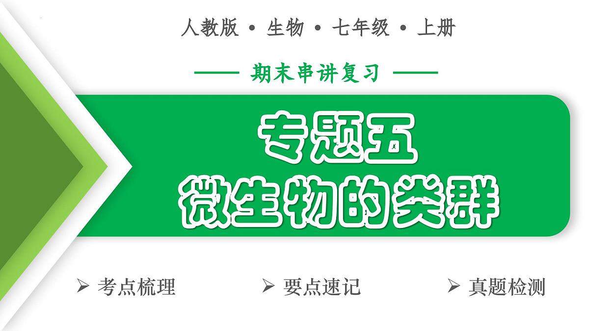 微生物的类群（5大考点+要点速记+真题检测）2025学年七年级生物上学期期末考点大串讲人教版课件第1页