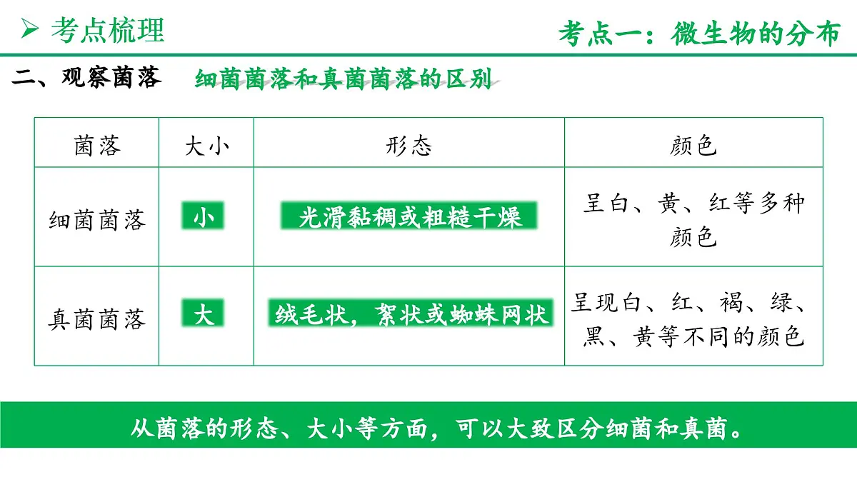 微生物的类群（5大考点+要点速记+真题检测）2025学年七年级生物上学期期末考点大串讲人教版课件第4页
