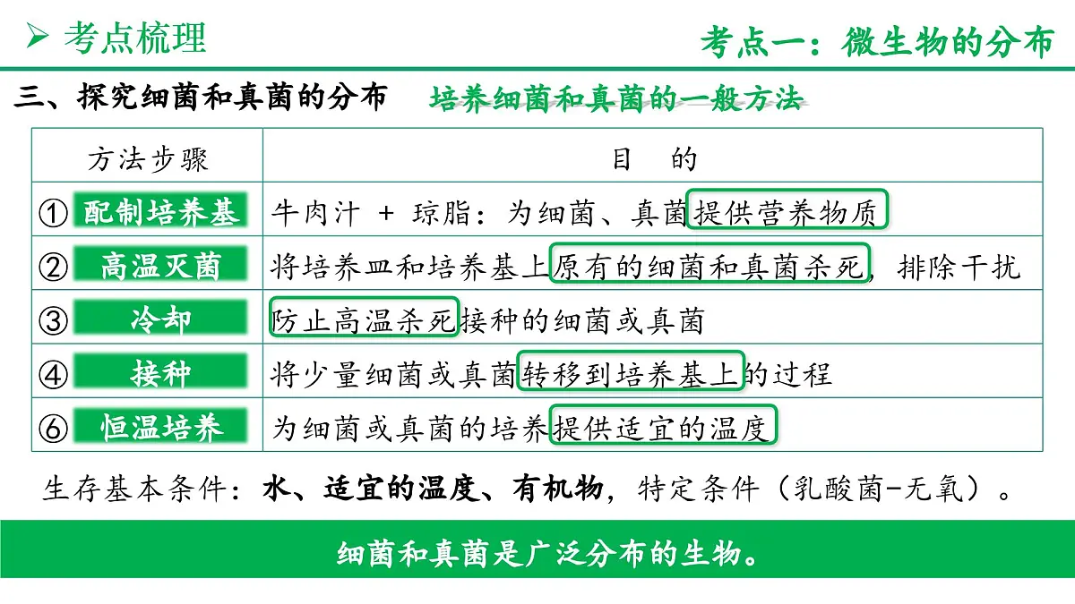 微生物的类群（5大考点+要点速记+真题检测）2025学年七年级生物上学期期末考点大串讲人教版课件第5页