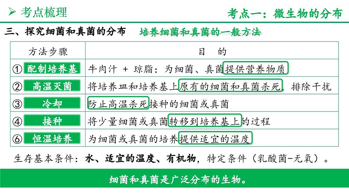 微生物的类群（5大考点+要点速记+真题检测）2025学年七年级生物上学期期末考点大串讲人教版课件第5页
