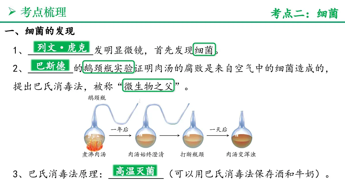 微生物的类群（5大考点+要点速记+真题检测）2025学年七年级生物上学期期末考点大串讲人教版课件第6页