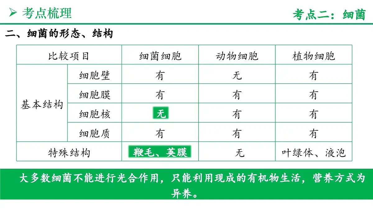 微生物的类群（5大考点+要点速记+真题检测）2025学年七年级生物上学期期末考点大串讲人教版课件第8页