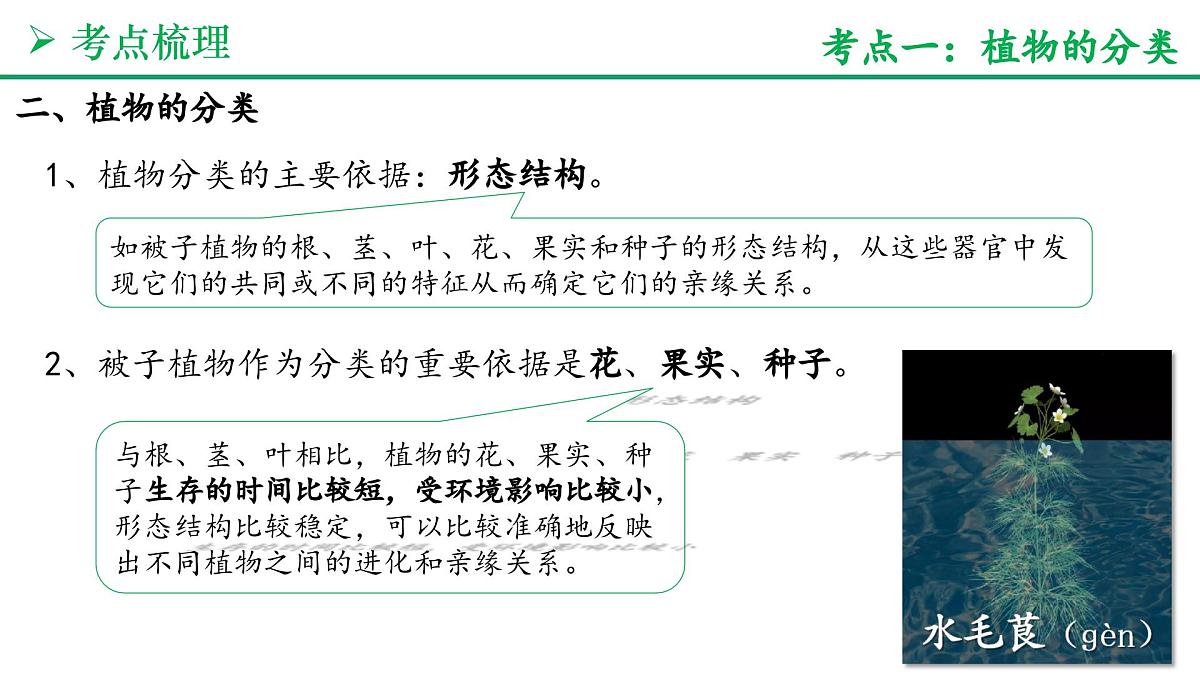 生物的分类方法（4大考点+要点速记+真题检测）2025学年七年级生物上学期期末考点大串讲人教版课件第4页