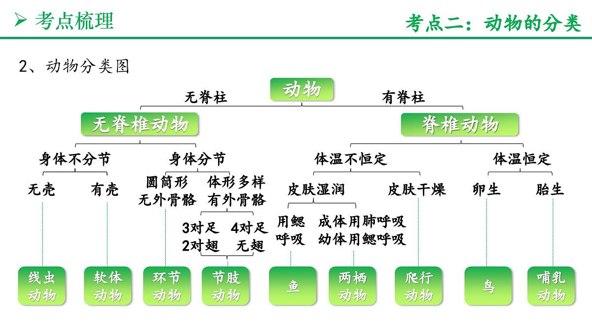 生物的分类方法（4大考点+要点速记+真题检测）2025学年七年级生物上学期期末考点大串讲人教版课件第8页