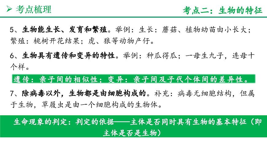 认识生物和细胞（5大考点+要点速记+真题检测）2025学年七年级生物上学期期末考点大串讲人教版课件第5页