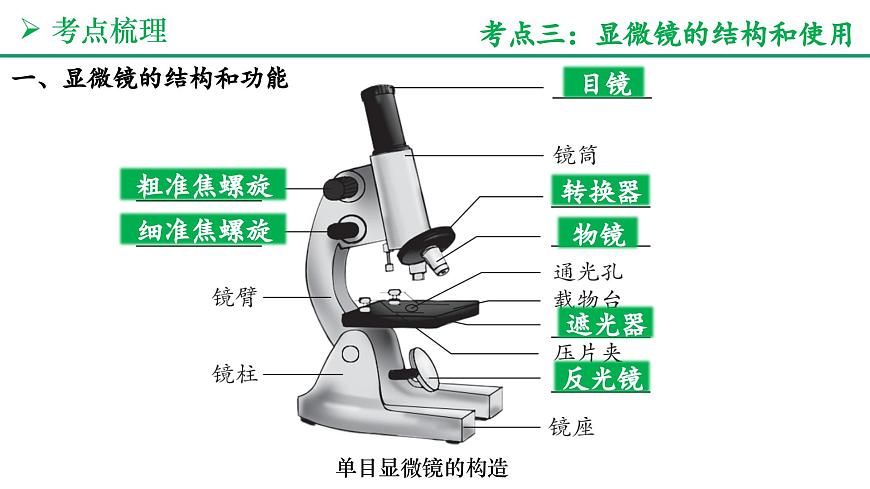 认识生物和细胞（5大考点+要点速记+真题检测）2025学年七年级生物上学期期末考点大串讲人教版课件第6页