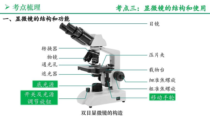 认识生物和细胞（5大考点+要点速记+真题检测）2025学年七年级生物上学期期末考点大串讲人教版课件第7页