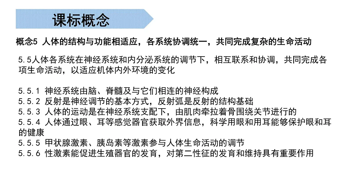 生命活动的调节 2025学年七年级生物下学期期末考点大串讲（北京版2024）课件第2页