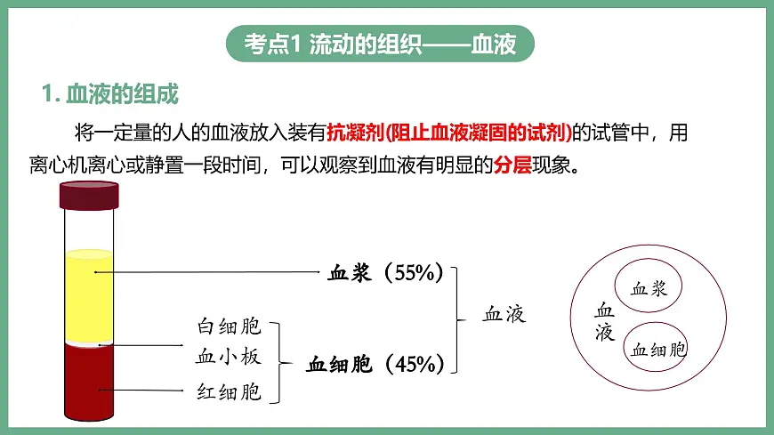 人体内物质的运输（3大考点）2025学年七年级生物下学期期末考点大串讲人教版课件第4页