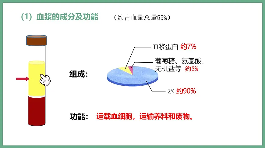 人体内物质的运输（3大考点）2025学年七年级生物下学期期末考点大串讲人教版课件第5页