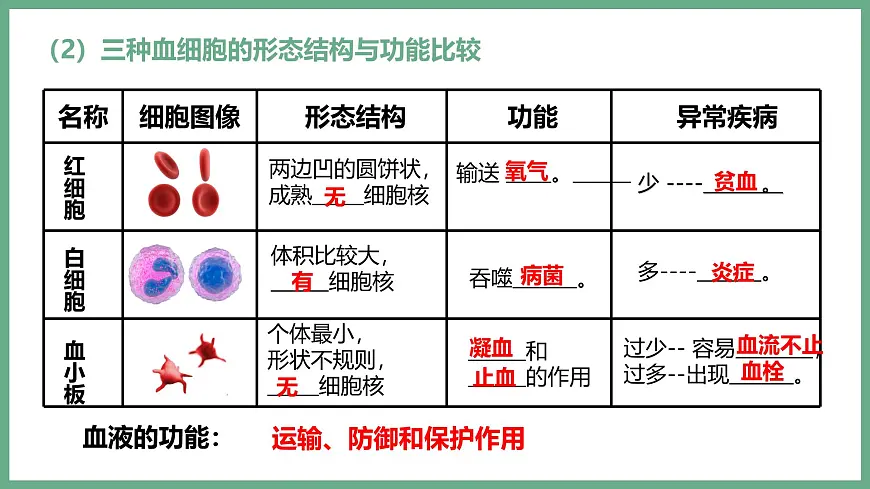 人体内物质的运输（3大考点）2025学年七年级生物下学期期末考点大串讲人教版课件第6页