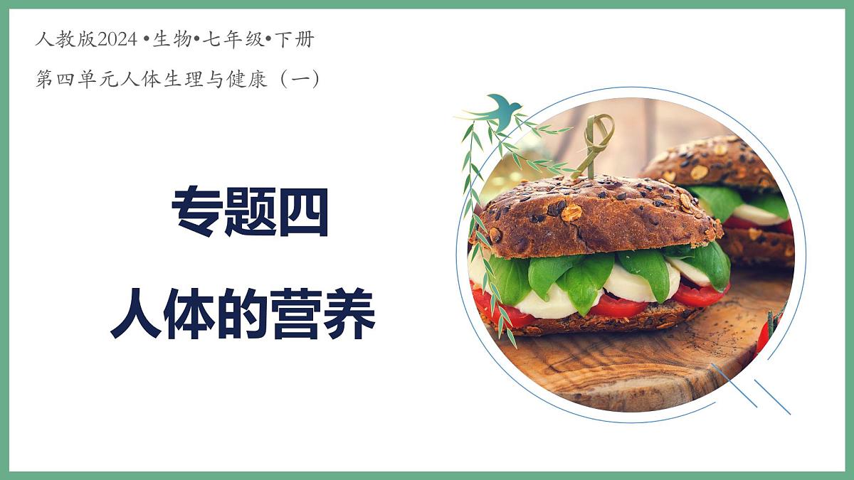 人体的营养（3大考点）2025学年七年级生物下学期期末考点大串讲人教版课件第1页