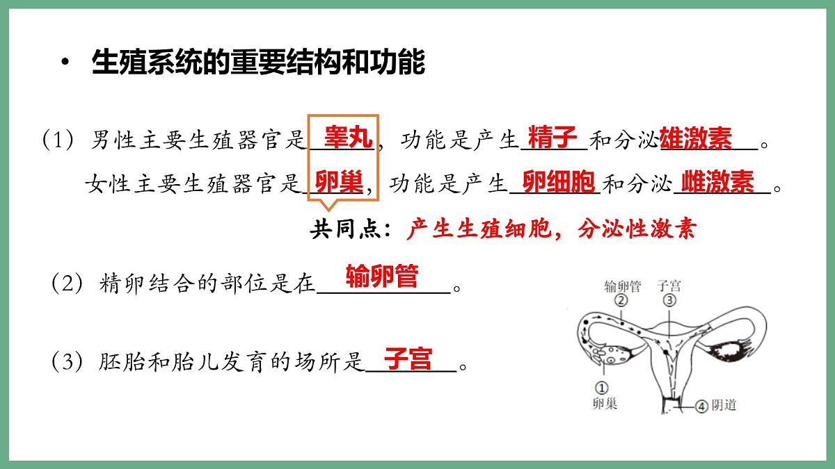 人的生殖和发育（2大考点）2025学年七年级生物下学期期末考点大串讲人教版课件第5页