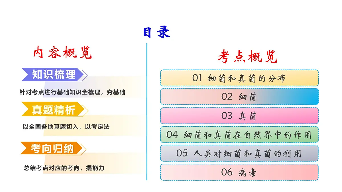 复习+生物圈中的微生物 2025学年七年级生物下学期期末考点大串讲（鲁科版五四学制）课件第2页