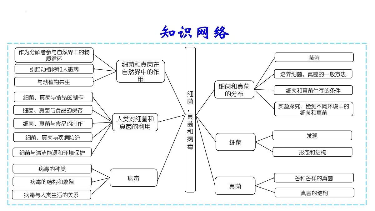 复习+生物圈中的微生物 2025学年七年级生物下学期期末考点大串讲（鲁科版五四学制）课件第3页