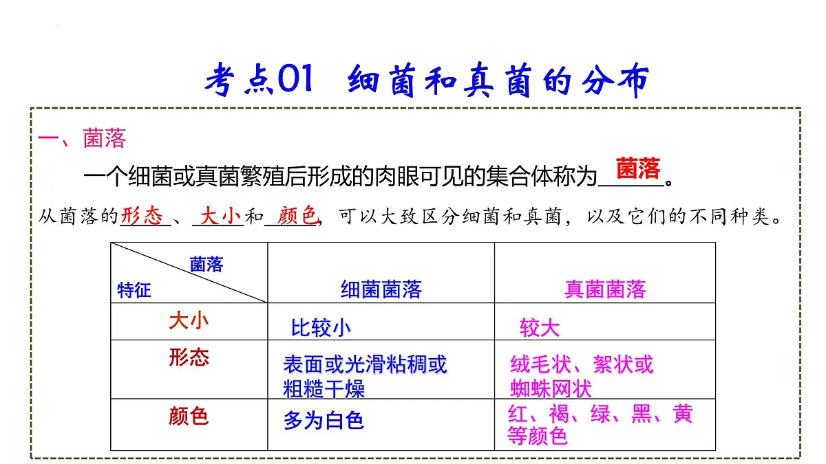 复习+生物圈中的微生物 2025学年七年级生物下学期期末考点大串讲（鲁科版五四学制）课件第4页