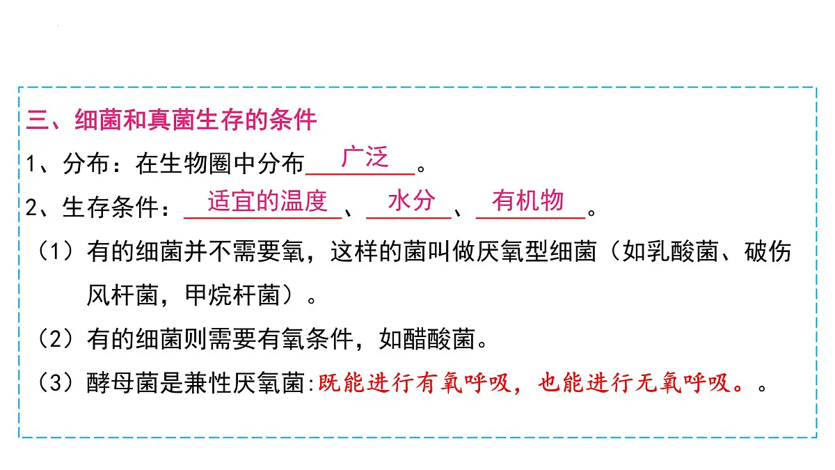复习+生物圈中的微生物 2025学年七年级生物下学期期末考点大串讲（鲁科版五四学制）课件第6页