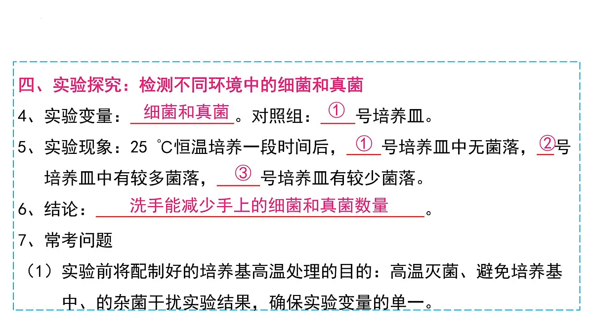 复习+生物圈中的微生物 2025学年七年级生物下学期期末考点大串讲（鲁科版五四学制）课件第8页