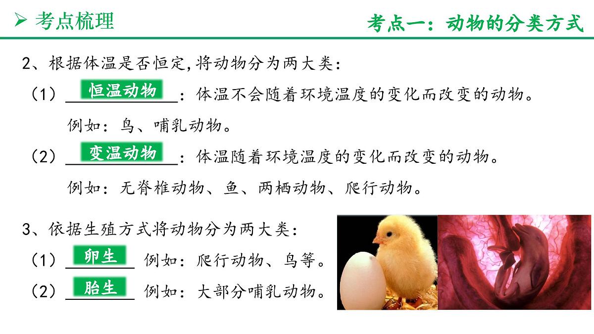 动物的类群（3大考点+要点速记+真题检测）2025学年七年级生物上学期期末考点大串讲人教版课件第4页