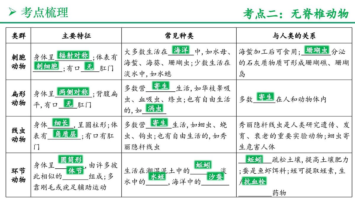 动物的类群（3大考点+要点速记+真题检测）2025学年七年级生物上学期期末考点大串讲人教版课件第5页