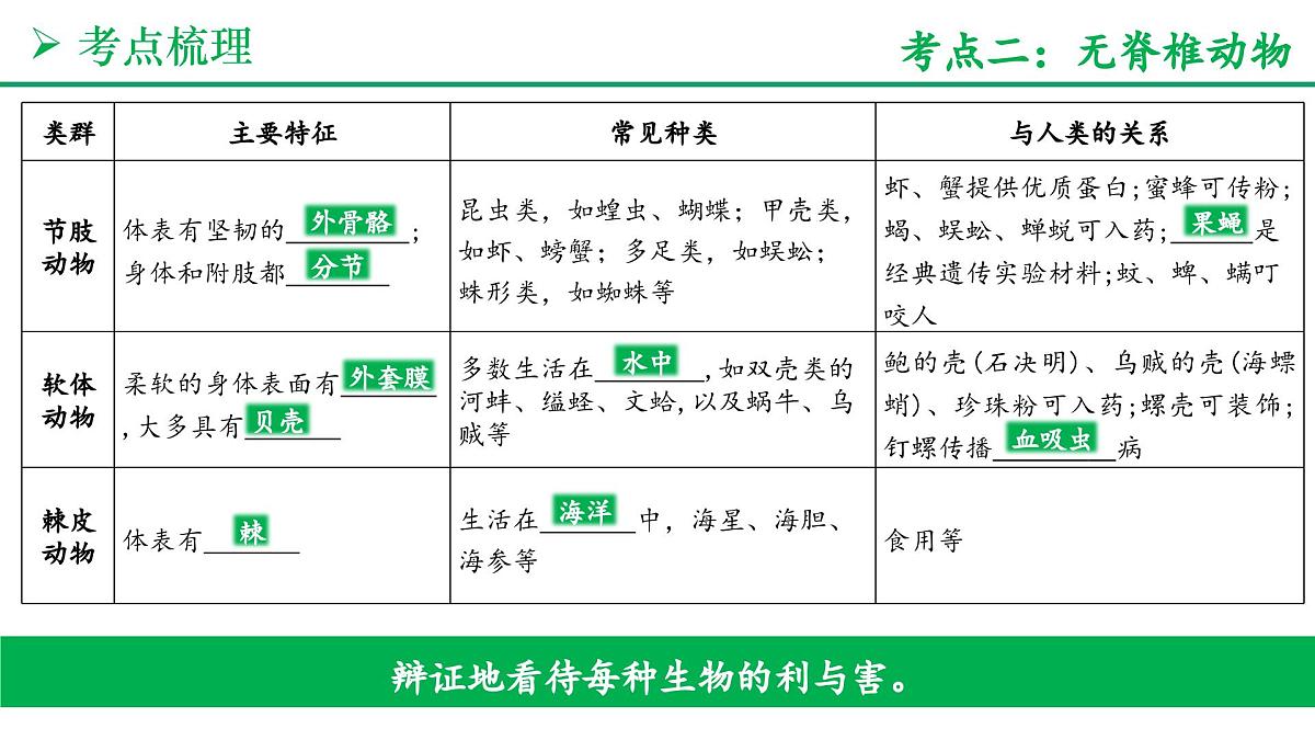 动物的类群（3大考点+要点速记+真题检测）2025学年七年级生物上学期期末考点大串讲人教版课件第6页
