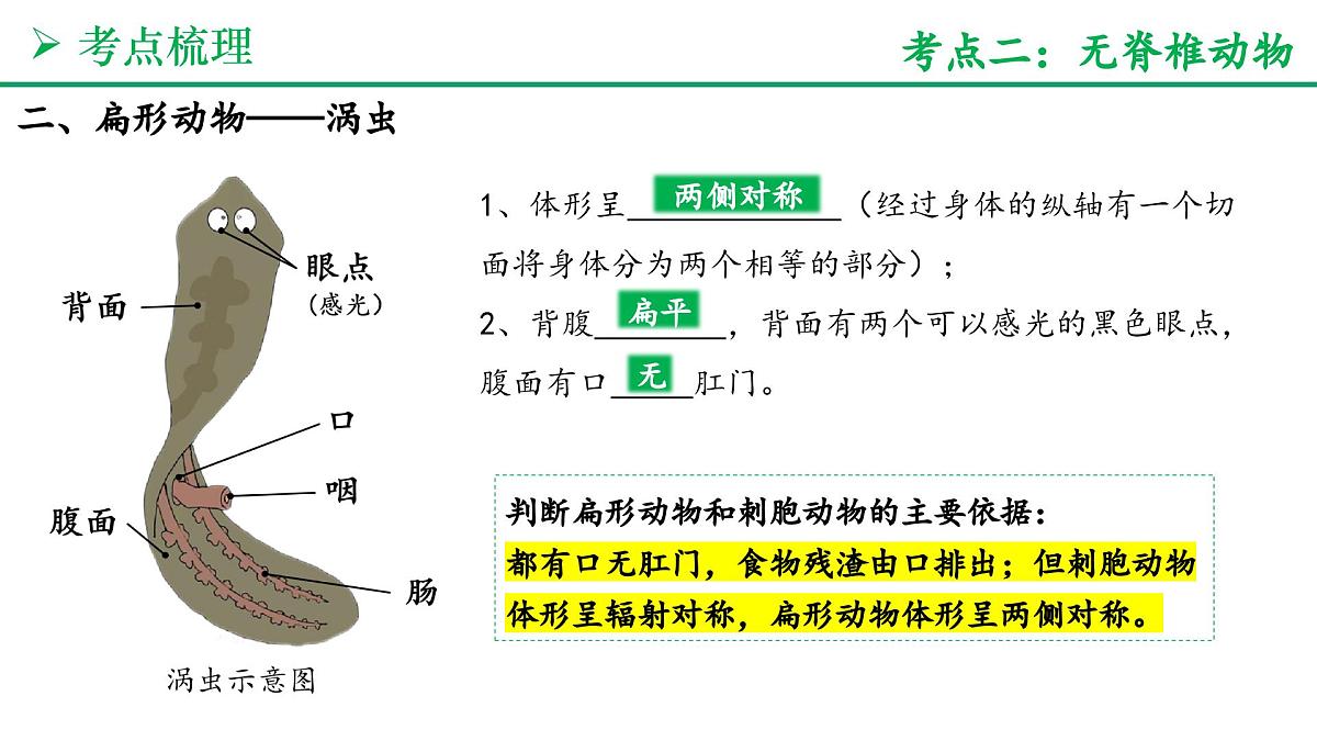 动物的类群（3大考点+要点速记+真题检测）2025学年七年级生物上学期期末考点大串讲人教版课件第8页